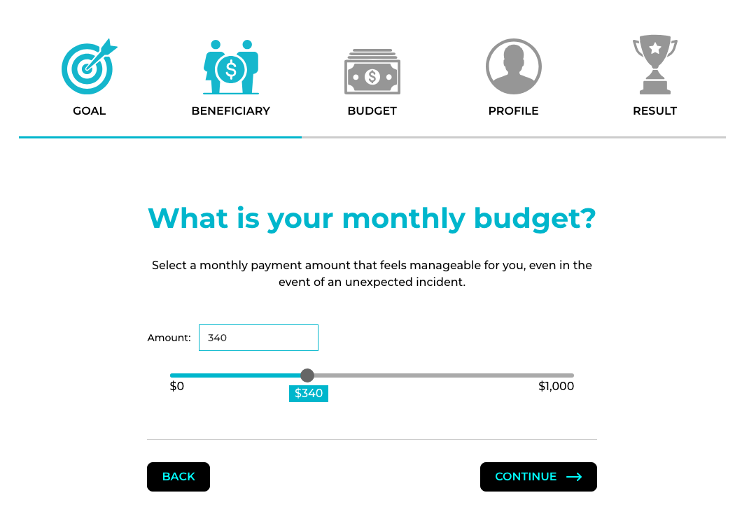 Monthly budget selection screen